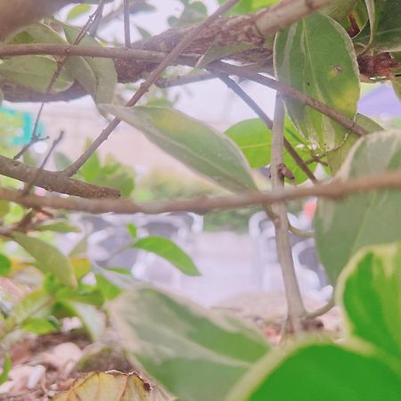 Hotel Marea Poio Ngoại thất bức ảnh